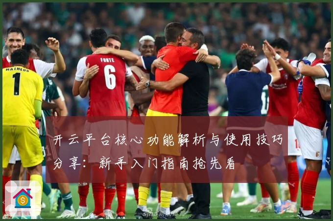 开云平台核心功能解析与使用技巧分享：新手入门指南抢先看