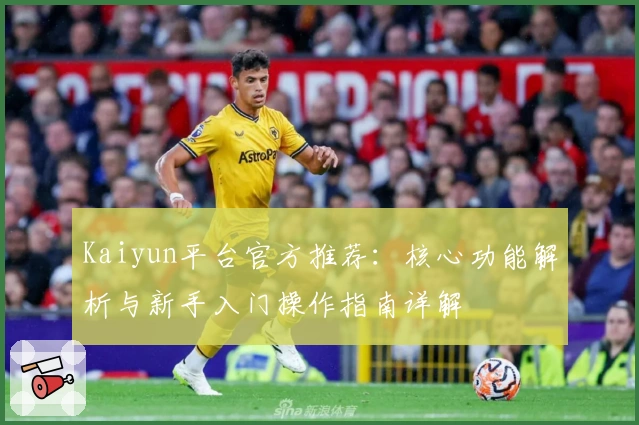 Kaiyun平台官方推荐：核心功能解析与新手入门操作指南详解